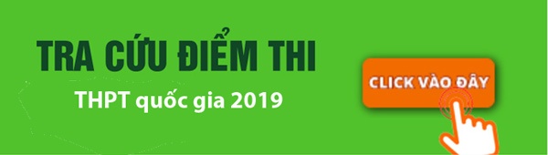 Điểm thi THPT quốc gia 2019 sẽ công bố sáng 14.7 - ảnh 1