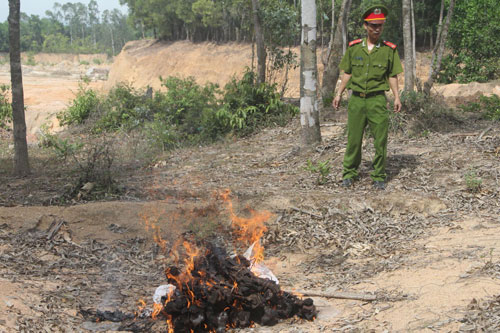 Cơ quan Công an tỉnh Quảng Nam tiến hành tiêu hủy 13 con voọc