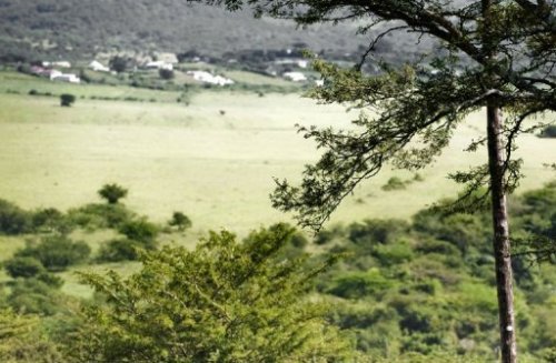Ảnh chụp ngôi làng “chết chóc” ở Nam Phi - Ảnh: AFP