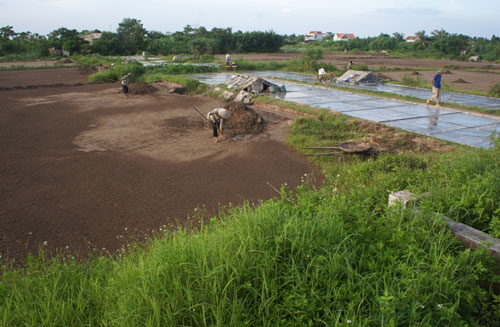 Còn đâu làng muối…2