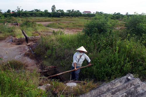 Còn đâu làng muối…7