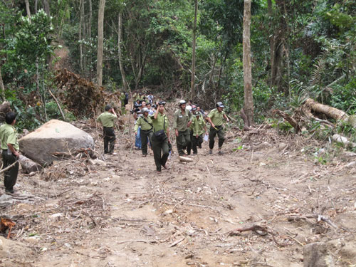 Cảnh sát môi trường vào cuộc làm rõ vụ phá rừng giáp ranh Phú Yên và Đắk Lắk 4
