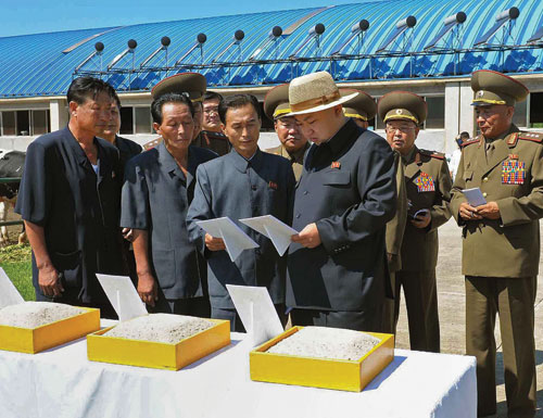 Ông Kim Jong-un thăm một nông trại tại Triều Tiên - Ảnh: AFP