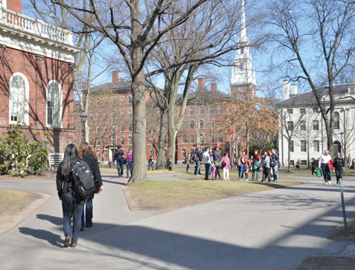 ĐH Harvard của Mỹ đang điều tra việc các sinh viên phối hợp ý tưởng trong khi làm bài khóa luận - Ảnh: Trọng Phước 