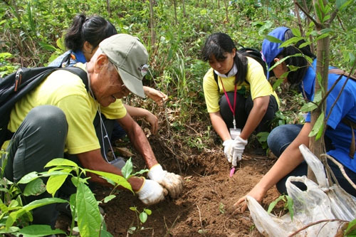 Tình nguyện viên Nhật Bản và thanh niên Việt Nam đang trồng rừng 1