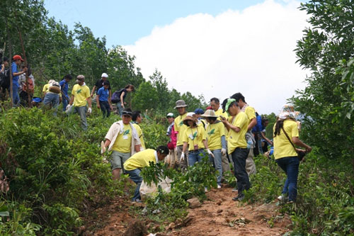 Hơn 500 tình nguyện viên Nhật Bản và tỉnh Thừa Thiên - Huế tham gia đợt trồng rừng lần này