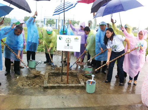 Quỹ 1 triệu cây xanh cho Việt Nam do nhãn hàng Vfresh của Công ty Vinamilk triển khai với mong muốn được chung tay cùng với cộng đồng xã hội để cải thiện môi trường sống xung quanh