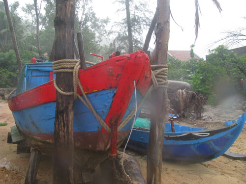 Tàu thuyền của xã Nhơn Hải (TP.Quy Nhơn) được ngư dân buộc chặt vào gốc cây để tránh bão