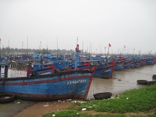 Tàu thuyền ở phường Phú Đông, TP Tuy Hòa neo đậu an toàn
