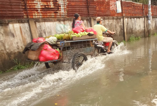 Thủy triều nhấn chìm hầu hết các tuyến đường và cả những con hẻm ở các khu dân cư mới ven sông Sài Gòn, thuộc P.Hiệp Bình Chánh, Q.Thủ Đức