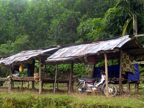 Những lều tạm của người dân xóm Tà Pa, thôn Làng Vố 
