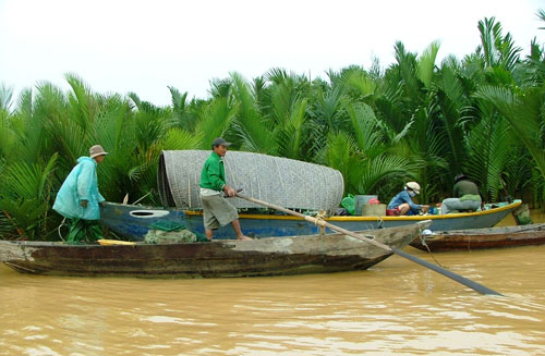Đánh cá trên sông Thu Bồn