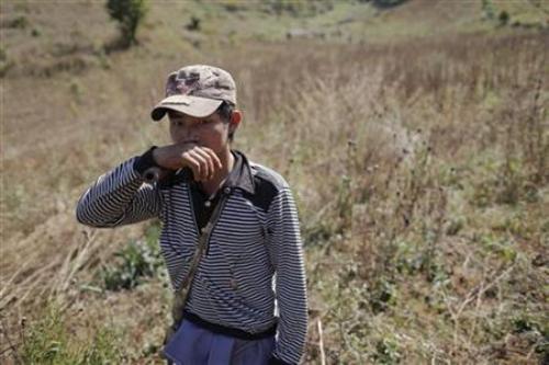 Một người nông dân Myanmar được chính quyền hỗ trợ thiêu hủy một cánh đồng trồng thuốc phiện - Ảnh: Reuters