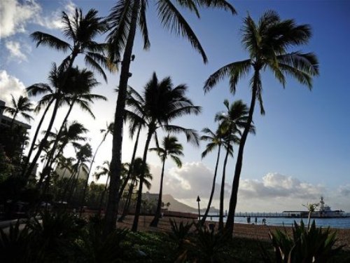 Bờ biển Waikiki ở hòn đảo Honolulu, Hawaii - Ảnh: AFP