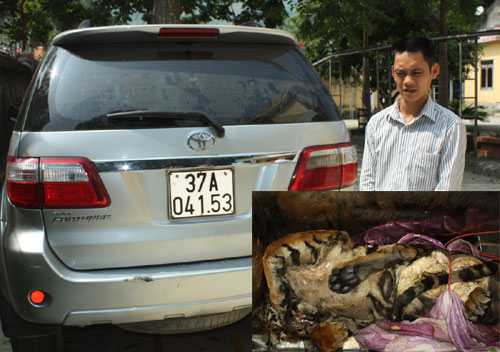 Bắt vụ vận chuyển cá thể hổ ướp đá trên đường Hồ Chí Minh