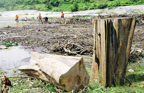 Lũ gỗ đe dọa thủy điện