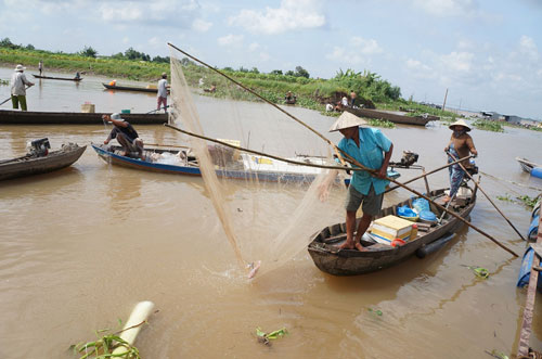 Sạt lở đất nhấn chìm 25 bè cá