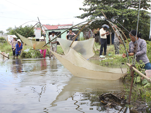 cất vó