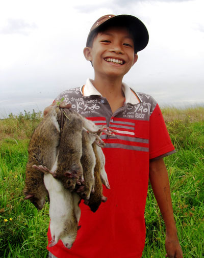 Cậu học sinh này phấn khởi vì săn được nhiều chuột