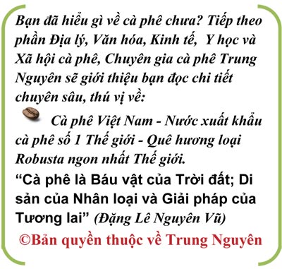 Bạn hiểu gì về cà phê - Hồn vía cà phê