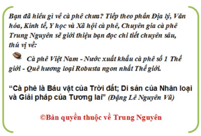 Bạn hiểu gì về cà phê? - “Chảy máu” cà phê thô