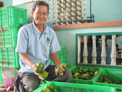 Chanh không hạt  