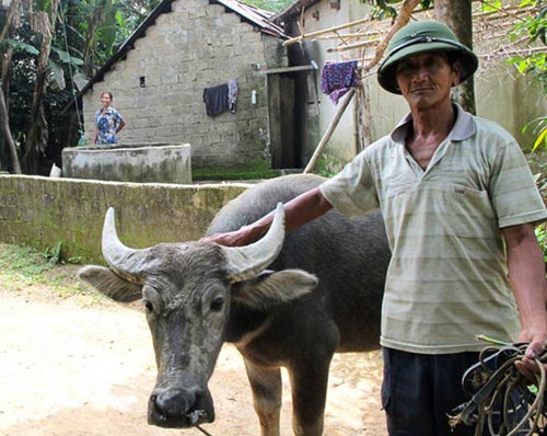 Lạ kỳ tiếng Việt đó đây - Kỳ 6 - “Iêng phô ky?” - anh nói gì?