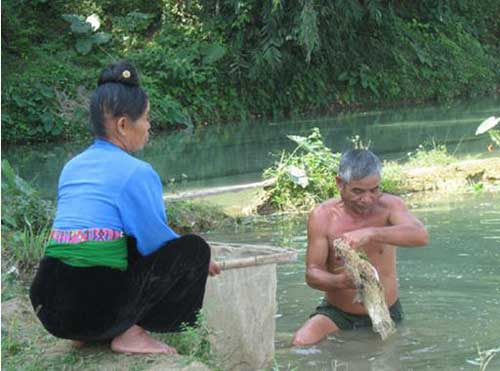 Mỗi ngày, gia đình ông Quảng Văn Giót ở bản Loóng, xã Trường Bằng, H.Quỳnh Nhai đánh cá có thêm thu nhập