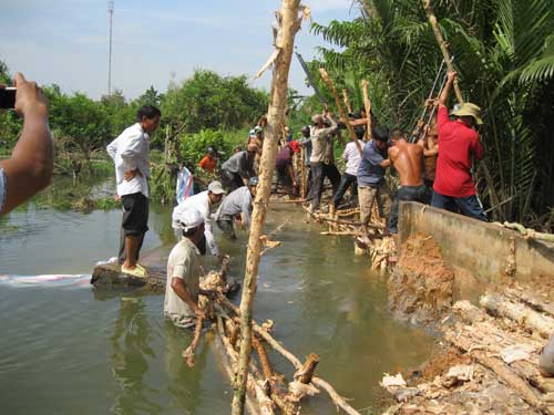 Đoạn đê bao dài gần 10 mét bị bê 2̉