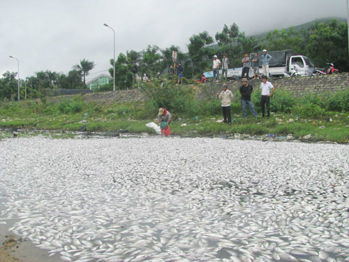 Hồ Phú Hòa nằm sát Quốc lộ 1D nên nhiều người hiếu kỳ đến xem