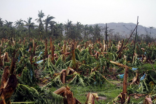 238 người chết vì bão Bopha ở Philippines