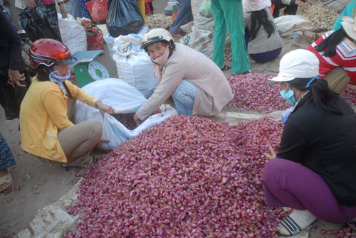 Củ hành, củ kiệu đã về chợ