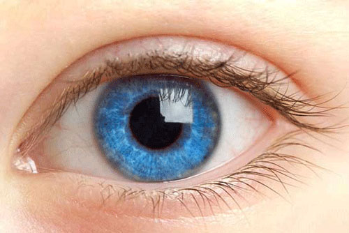 Màu mắt giúp đoán được bệnh bạch tạng