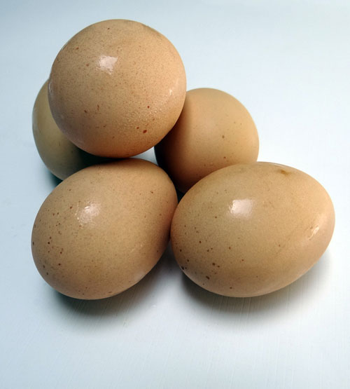 Ăn trứng giúp cải thiện giác quan - nd