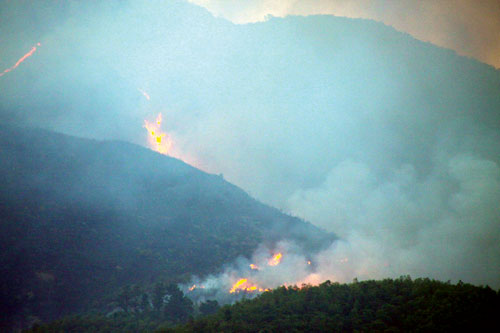 Cháy rừng Nam Hải Vân