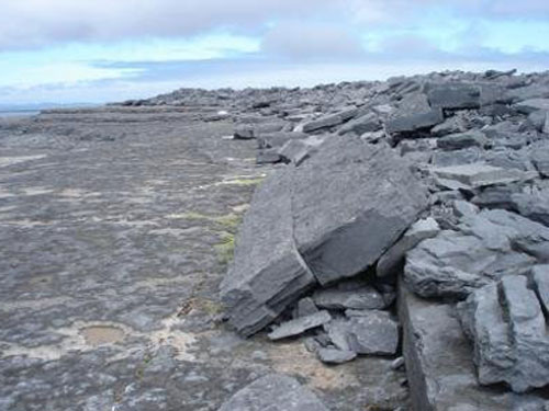 Giải mã tảng đá biết đi tại Ireland