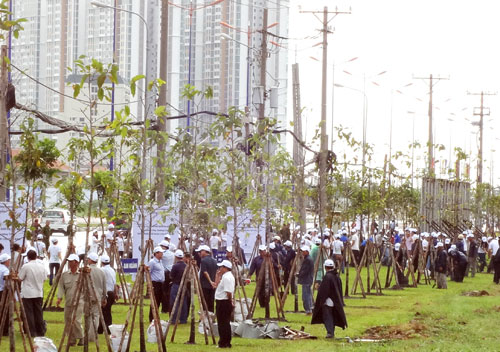  “Quỹ 1 triệu cây xanh cho Việt Nam” tại TP.HCM 2