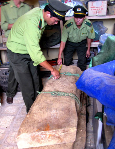 Thu giữ lô gỗ huê lớn tại Phong Nha-Kẻ Bàng