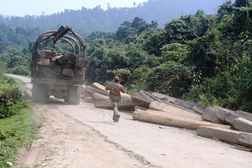 Khởi tố 7 đối tượng trong vụ phá rừng lớn nhất tại Hà Tĩnh 1