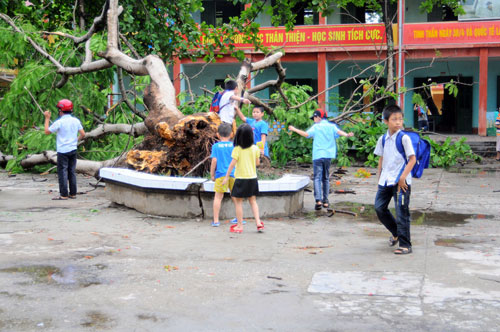 Lao Cai: Khẩn trương khắc phục hậu quả mưa lốc 12