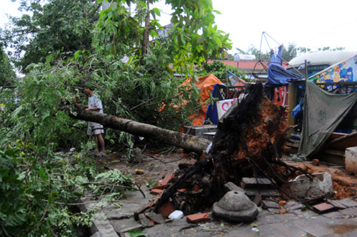 Lao Cai: Khẩn trương khắc phục hậu quả mưa lốc 5
