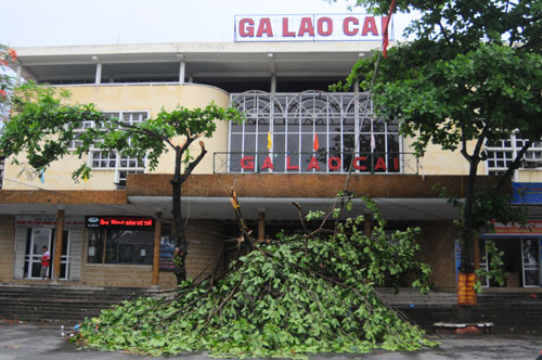 Lao Cai: Khẩn trương khắc phục hậu quả mưa lốc 6