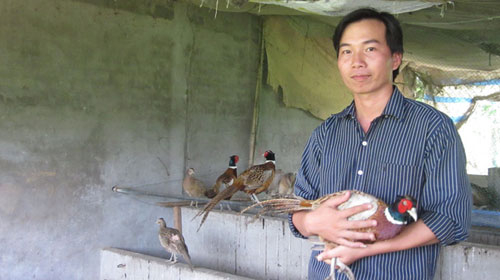 Trương Thanh Phúc - chủ nhân trang trại chim trĩ hàng ngàn con - nd