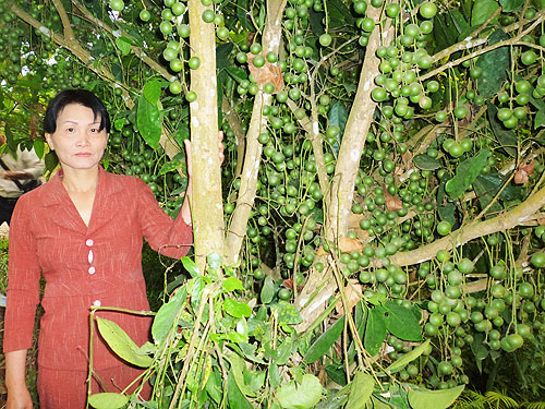 Bà Nguyễn Thị Bích Thủy bên vườn dâu của gia đình