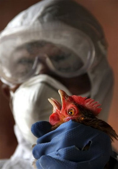 H5N1 lây từ người sang người qua không khí