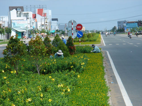 Nhiều nắp hố ga, cây cảnh bị đập phá, mất cắp 1