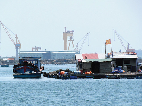 Lồng bè nuôi cá của người Trung Quốc trên vịnh Cam Ranh 