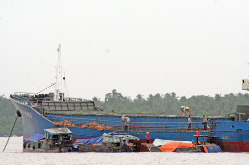 Một tàu đang bốc dừa trên sông Hàm Luông xuất sang Trung Quốc
