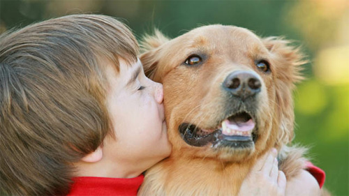 Tiếp xúc với chó giúp trẻ giảm nguy cơ bệnh hen suyễn 