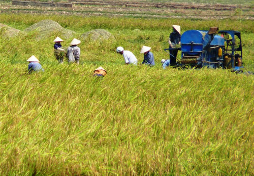 Hội nghị ASEAN bàn về phát triển nông thôn